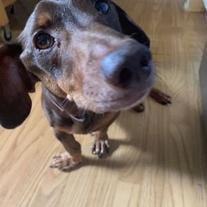 Meet your Posher, Marie